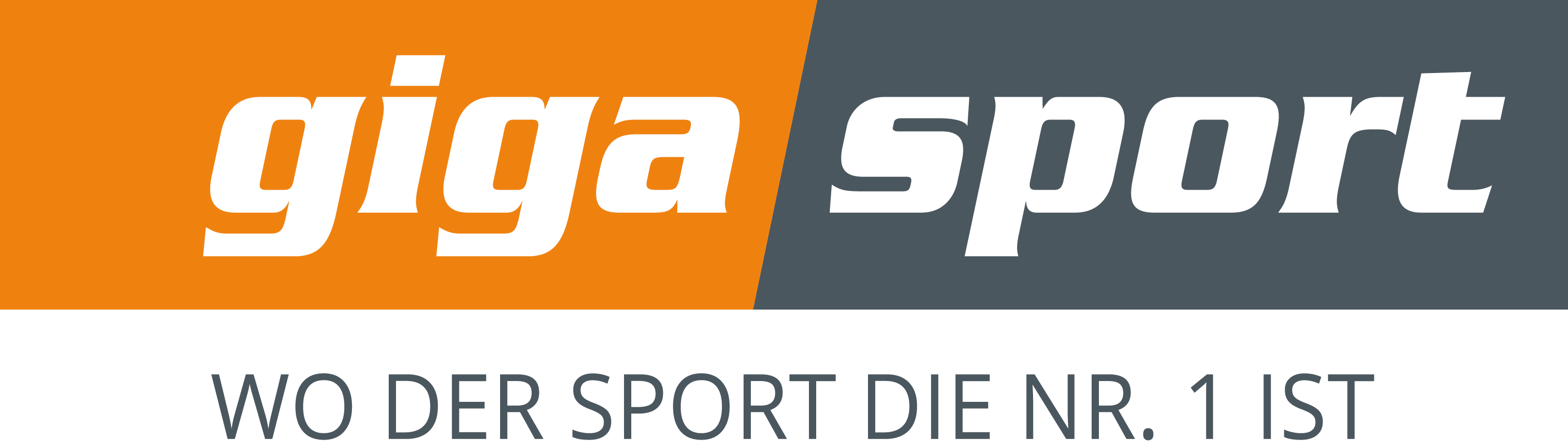 Gigasport Logo grauer Slogan