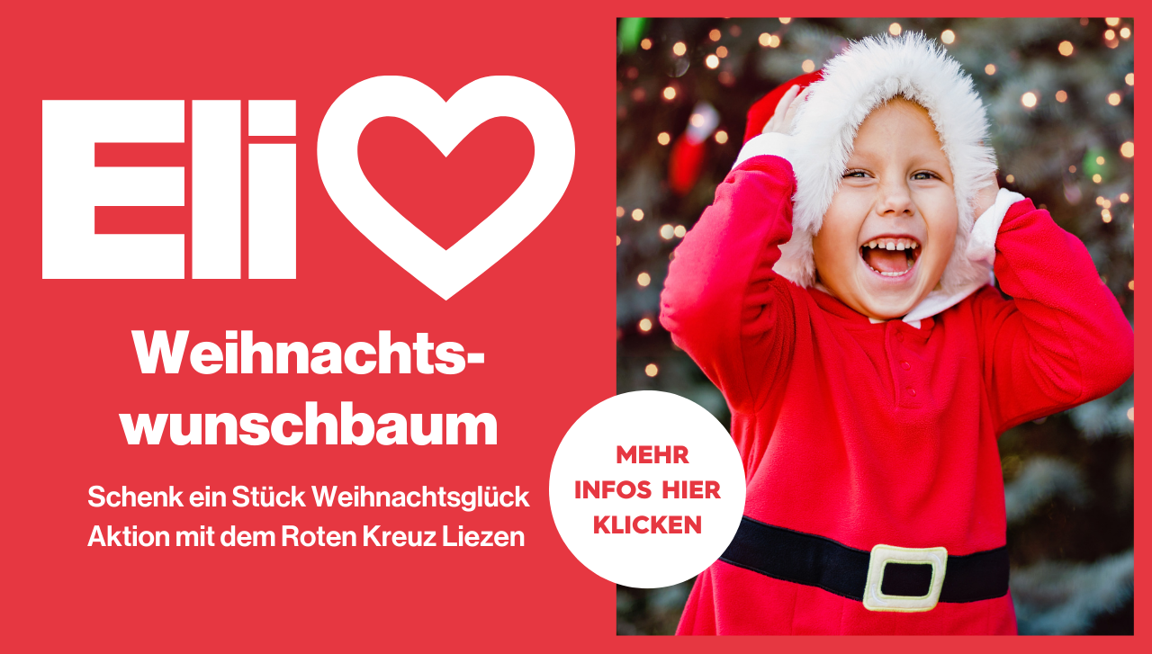 Webslider Weihnachtswunschbaum RK 2024